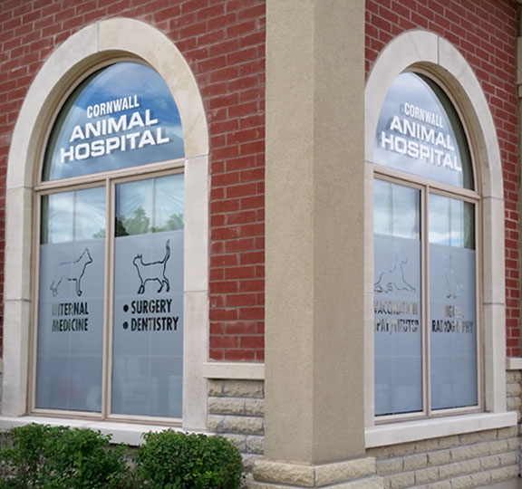 Outdoor Window Frosting